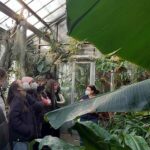 Botanischer Garten